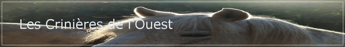Les Crinières de l'Ouest